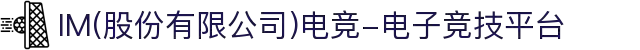 IM(股份有限公司)电竞-电子竞技平台